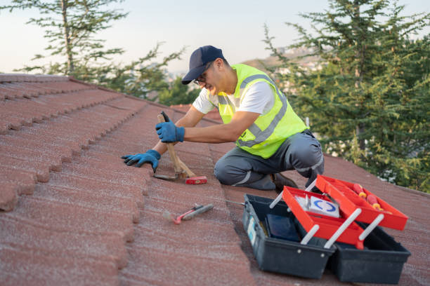 Best Metal Roofing Contractor  in Coburg, OR