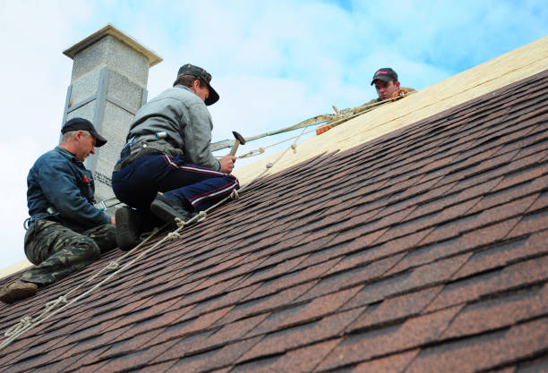 Best Best Roofing Contractors  in Coburg, OR